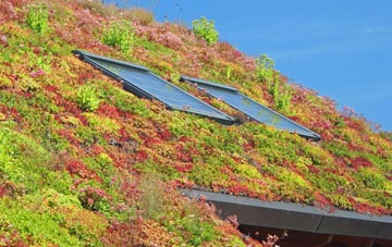 Bermuda living roof systems