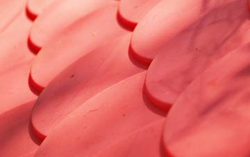 Bermuda plastic roof costs