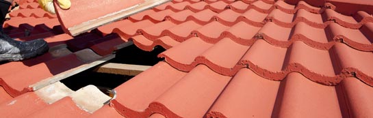 compare Bermuda roof repair quotes